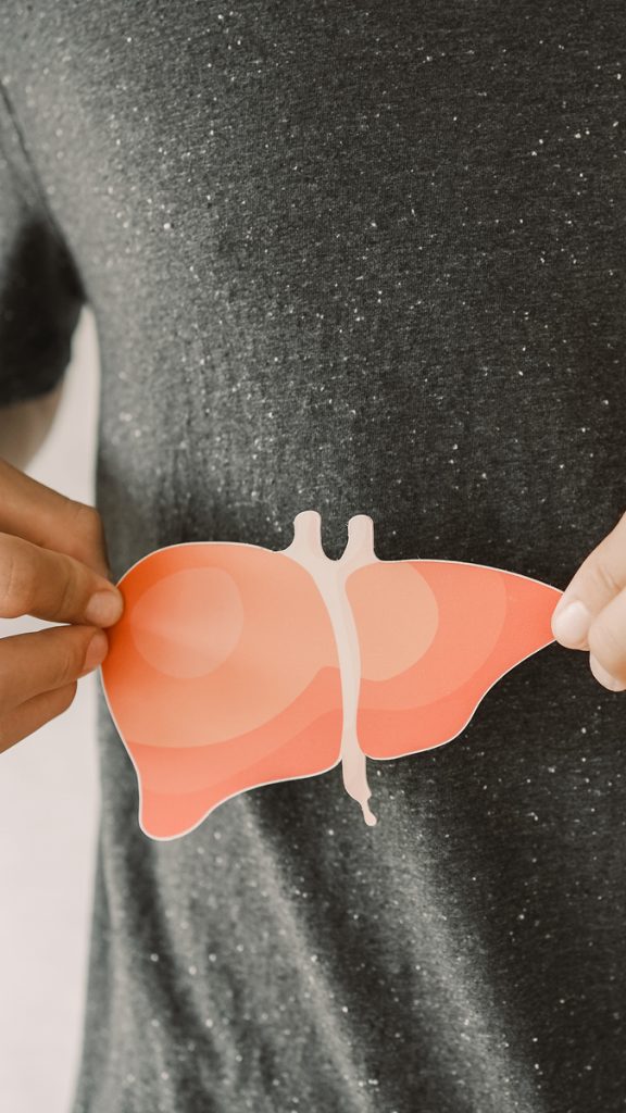 Tag der Organspende Organ Organe Leber